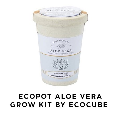Ecopot Aloe Vera Grow Kit by Ecocube | Shulman Weightloss