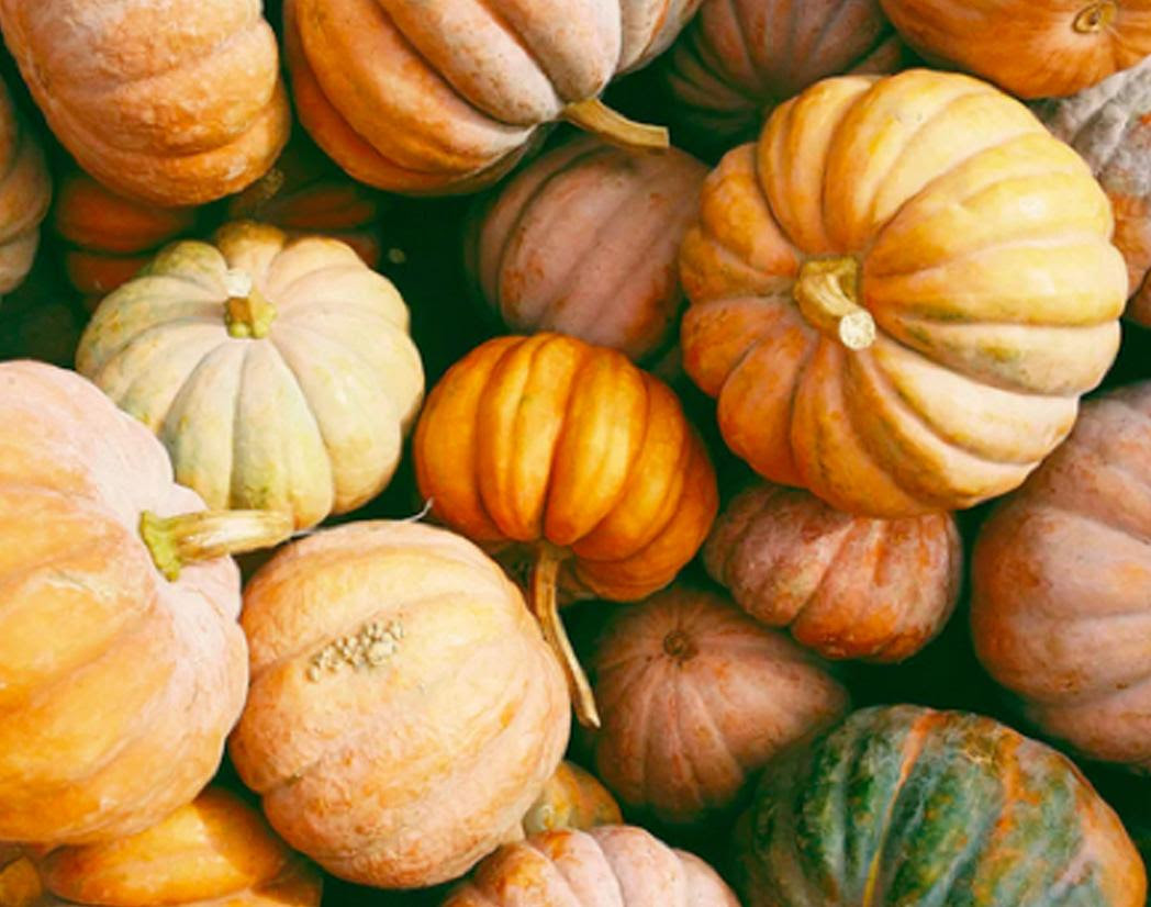 harvest foods | Shulman Weightloss