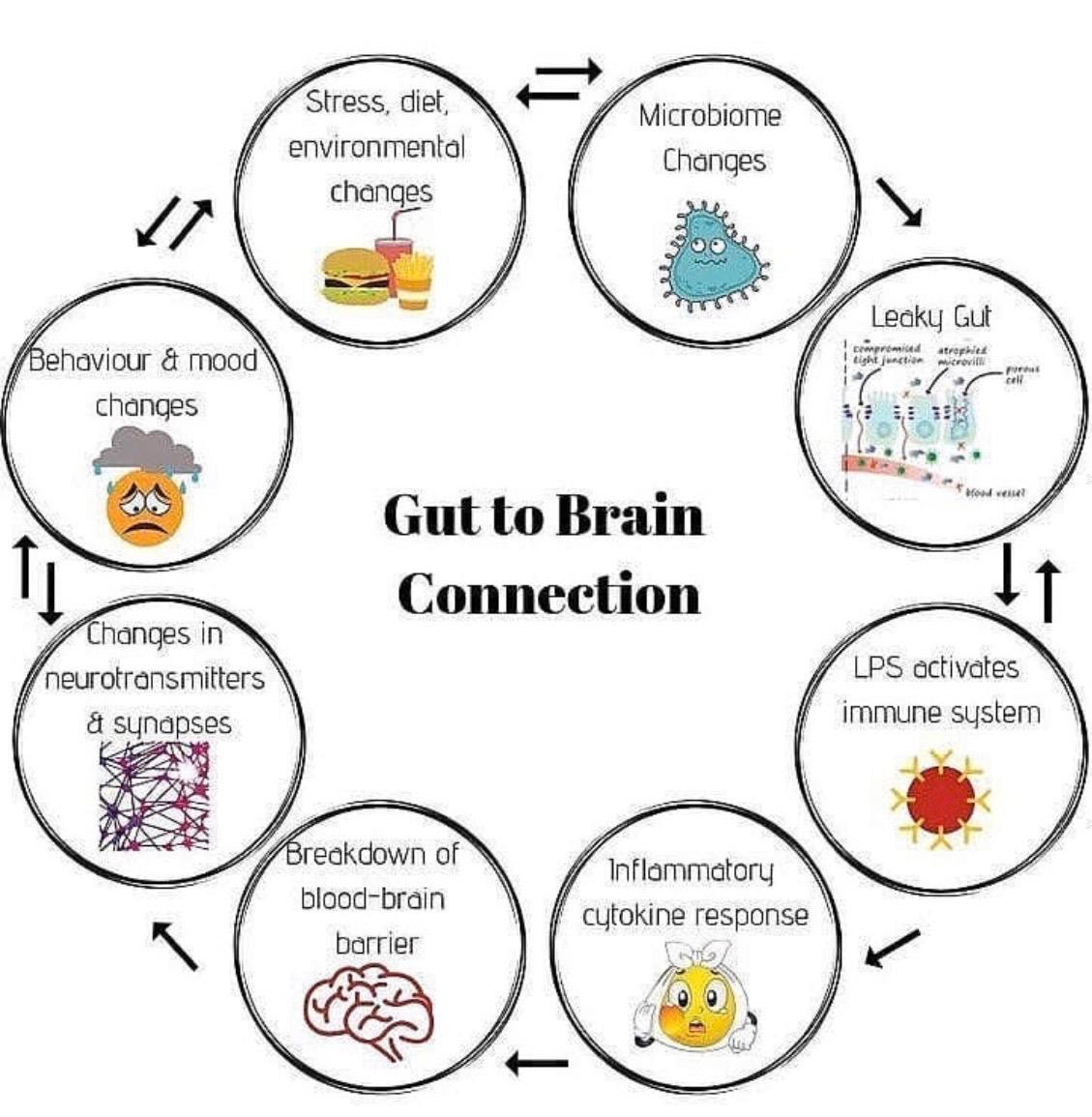 Cut to Brain Connection